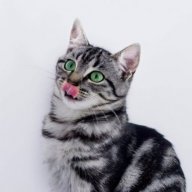 Hellcat